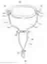 Fig. 01 - Dive mask safety strap