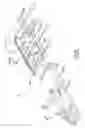 Fig. 08 - Apparatus and methods for manufacturing cigarettes