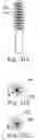 Fig. 06 - Cosmetic applicator