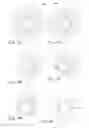 Fig. 08 - Cosmetic applicator