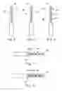 Fig. 03 - Cosmetic applicator