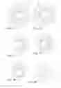 Fig. 08 - Cosmetic applicator
