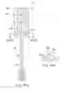 Fig. 37 - Cosmetic applicator