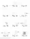 Fig. 07 - Cosmetic applicator