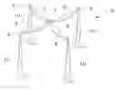 Fig. 01 - Pre-assembled wedding canopies and related methods