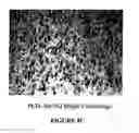 Fig. 07 - Thermoelectric compositions and process