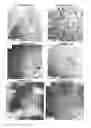 Fig. 09 - Thermoelectric compositions and process