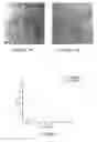 Fig. 12 - Thermoelectric compositions and process