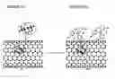 Fig. 05 - Nanotube-organic photoelectric conversion device and methods of making same