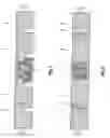 Fig. 02 - Casting of metals