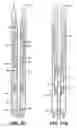 Fig. 09 - One trip cemented expandable monobore liner system and method