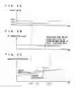 Fig. 06 - Control apparatus for vehicle