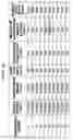 Fig. 15 - Conveyor system and method for accumulating packages of varying lengths