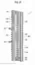Fig. 13 - Thin plate supporting container
