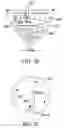 Fig. 20 - System for tuning water to target certain pathologies in mammals