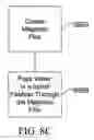 Fig. 23 - System for tuning water to target certain pathologies in mammals