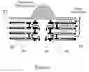 Fig. 06 - Method for determining an effective peclet number for a membrane adsorber device