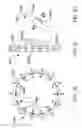 Fig. 17 - Method for preconditioning water for electrolysis