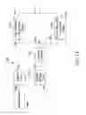 Fig. 13 - Method for making and conditioning super-oxygenated and structured water