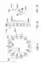 Fig. 17 - Processed water and therapeutic uses thereof