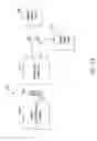 Fig. 06 - Processed water and therapeutic uses thereof