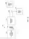 Fig. 06 - Processed water and therapeutic uses thereof