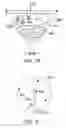 Fig. 20 - Processed water and therapeutic uses thereof