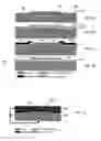 Fig. 06 - METHOD FOR FORMING FREE STANDING MICROSTRUCTURES