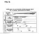 Fig. 17 - Method of processing substrate and chemical used in the same