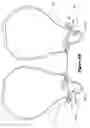 Fig. 08 - Strapping system
