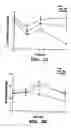 Fig. 08 - Silk fibroin materials and use thereof