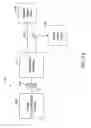 Fig. 06 - Microstructured water having a negative oxidation reduction potential