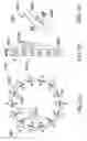 Fig. 17 - Microstructured water having altered boiling point