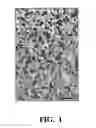 Fig. 02 - Method for controlling the size of fluoride nanoparticles