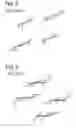 Fig. 05 - Organic semiconductor material, organic semiconductor thin film and organic semiconductor device