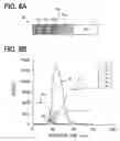 Fig. 05 - Semiconductor device having SiC substrate and method for manufacturing the same
