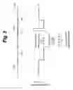 Fig. 03 - Semiconductor light emitting device, its manufacturing method, semiconductor device and its manufacturing method