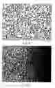 Fig. 06 - GaN-series of light emitting diode with high light extraction efficiency