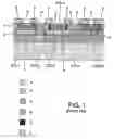 Fig. 02 - Semiconductor device comprising an integrated circuit
