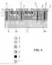 Fig. 05 - Semiconductor device comprising an integrated circuit