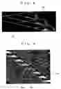Fig. 05 - Three-dimensional structure composed of silicon fine wires, method for producing the same, and device including the same