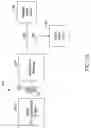 Fig. 06 - Method for oxygenating water