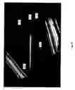 Fig. 17 - Collapsible snowboard pole