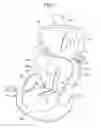 Fig. 02 - Child seat, ventilation portion structure of article and cover of article comprising the ventilation portion structure, and article for child