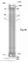 Fig. 37 - CCFL device with a solid heat-dissipation means