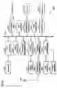 Fig. 29 - Variable length coding method and variable length decoding method