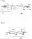 Fig. 32 - Variable length coding method and variable length decoding method