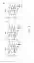 Fig. 04 - Electroluminescence display and pixel array thereof