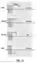 Fig. 09 - Electrophoretic display panel