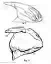 Fig. 05 - WHOLE HAND COMPUTER MOUSE WITH A BUTTON FOR EACH FINGER